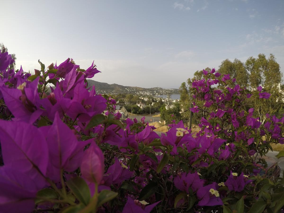 גולטורקבוקו Panorama Hotel Bodrum מראה חיצוני תמונה