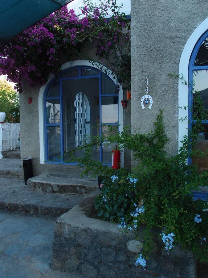 גולטורקבוקו Panorama Hotel Bodrum מראה חיצוני תמונה